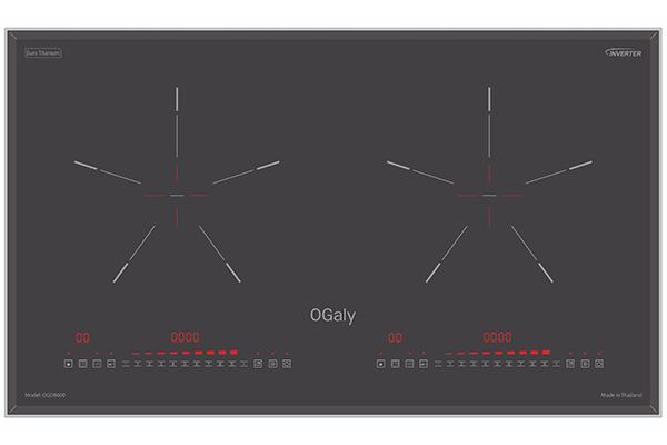 Bếp từ OGaly OG D8600